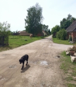 gross-varchow-dorfstrasse