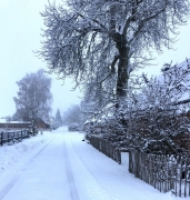 winterfoto-2